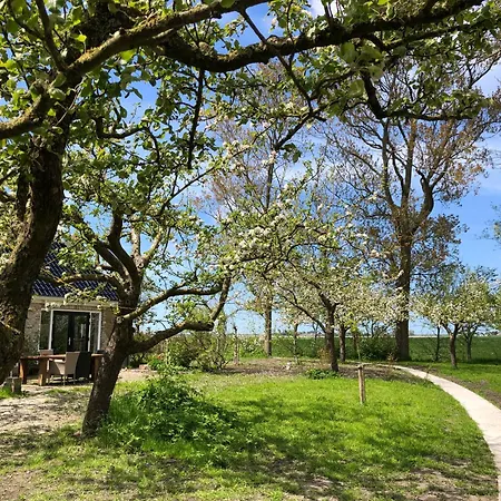 Farmhouse Okkingastate Wijnaldum Exterior photo
