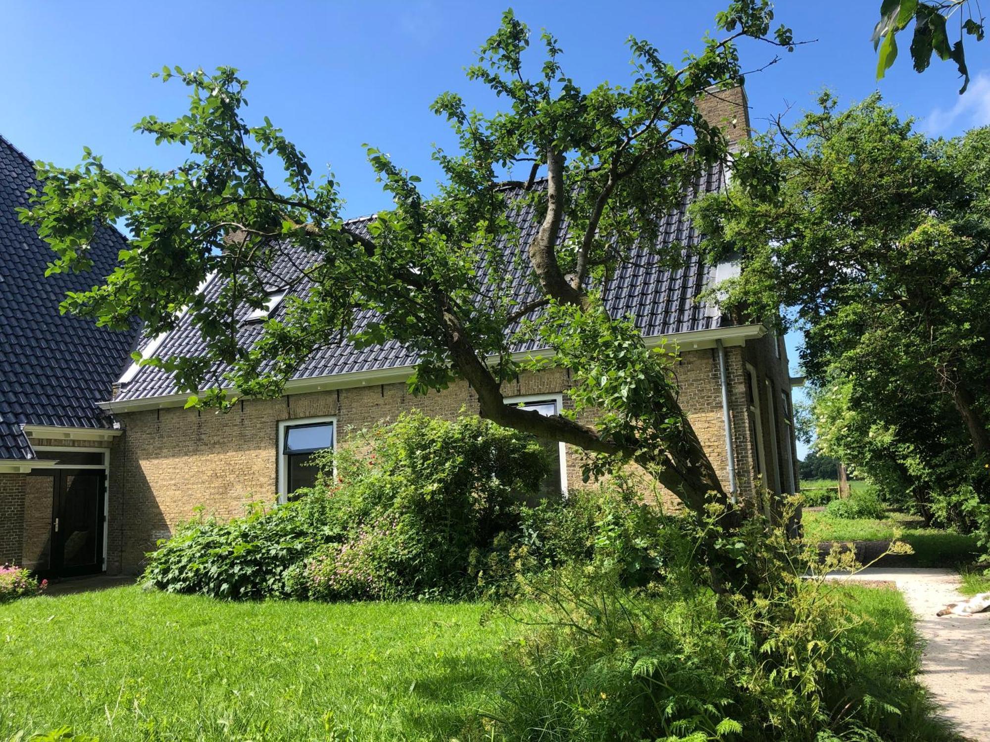 Casa vacanze Okkingastate